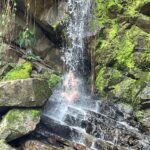 WhatsApp Image 2025-10-10 at 3.30.28 PM (4)